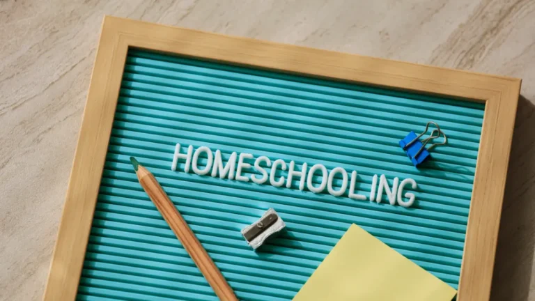 What Is Homeschooling – From Legalities to Innovative Methods